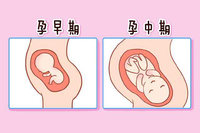 广州供卵助孕机构排名？