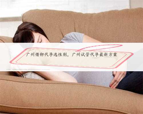 广州借卵代孕选性别，广州试管代孕最新方案
