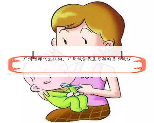 广州借卵代生机构，广州试管代生男孩的基本流程
