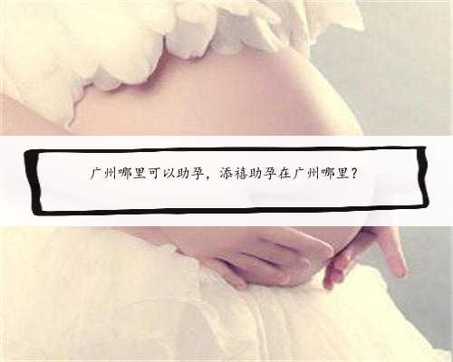 广州哪里可以助孕，添禧助孕在广州哪里？