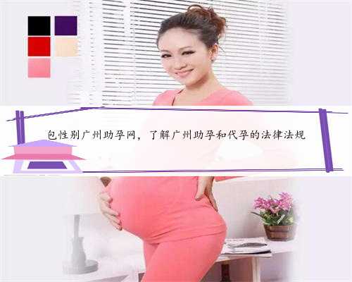 包性别广州助孕网，了解广州助孕和代孕的法律法规