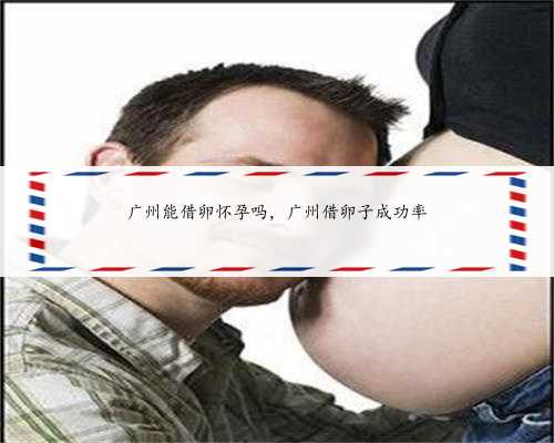 广州能借卵怀孕吗，广州借卵子成功率