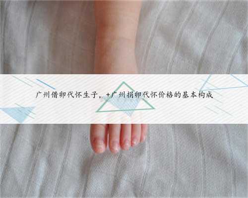 广州借卵代怀生子， 广州捐卵代怀价格的基本构成