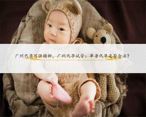 广州代孕可供精卵，广州代孕试管：单身代孕是否合法？