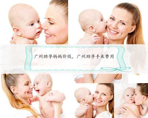 广州助孕妈妈价钱，广州助孕手术费用
