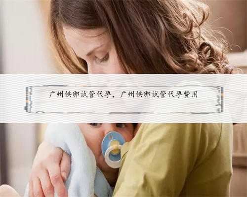 广州供卵试管代孕，广州供卵试管代孕费用
