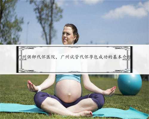 广州供卵代怀医院，广州试管代怀孕包成功的基本介绍