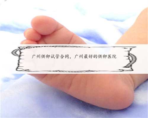 广州供卵试管合同，广州最好的供卵医院