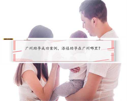 广州助孕成功案例，添禧助孕在广州哪里？