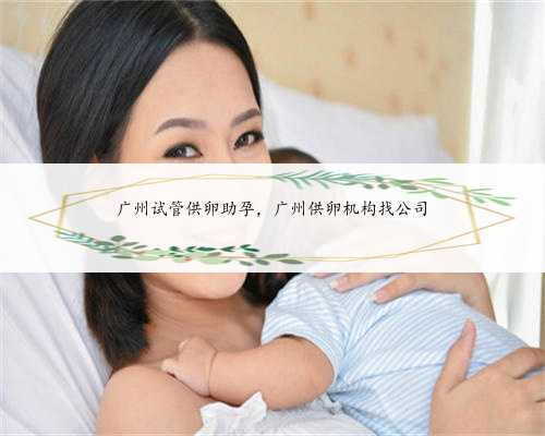 广州试管供卵助孕，广州供卵机构找公司