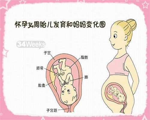 信阳夫妻双方如何调理才能增加泰国试管婴儿的成功
