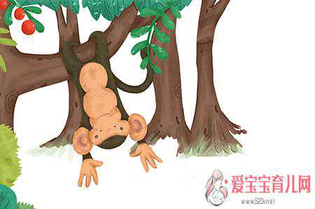广州供卵试管对卵巢的要求，宝宝春季过敏怎么办